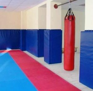 Стеновой протектор ПРОФИ 20мм (ПВХ-ткань 630гр/м2, ППЭ 30кг/м3)
